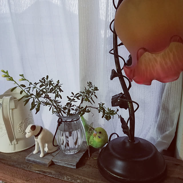 koikoiさんの実例写真