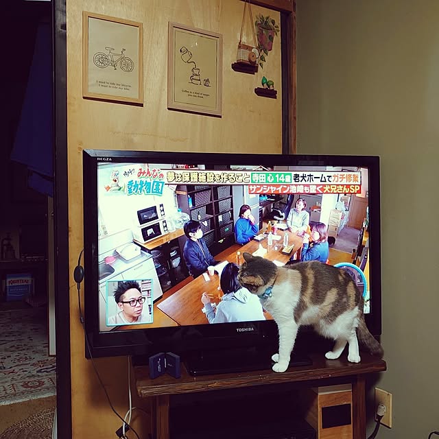 fukuさんの実例写真