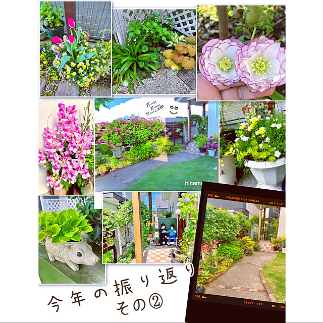 hinamamaさんの部屋