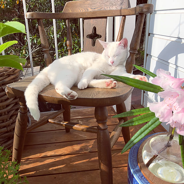 weさんの実例写真