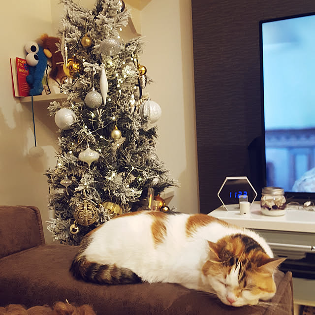 megu.catさんの実例写真