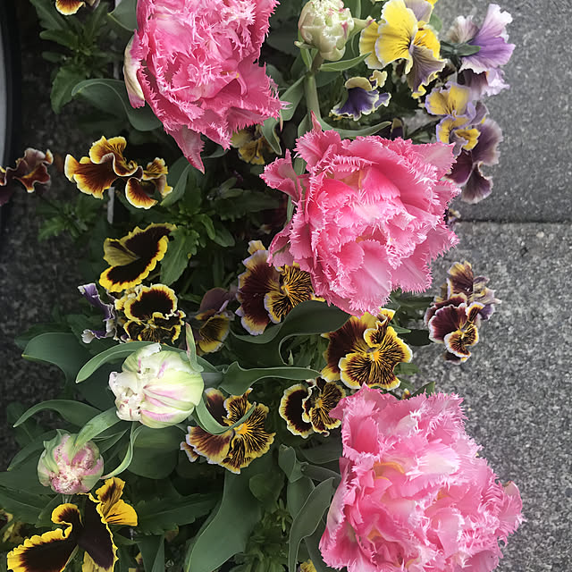asako.10さんの実例写真