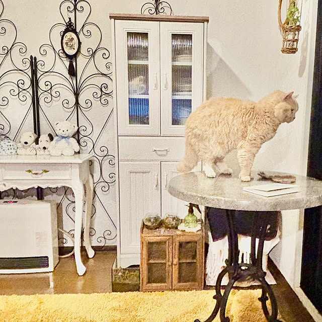 naokoさんの部屋