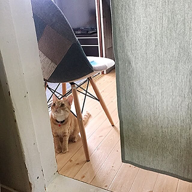 Sammyさんの実例写真