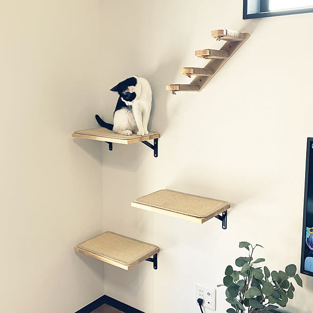 qp_ktbnさんの実例写真