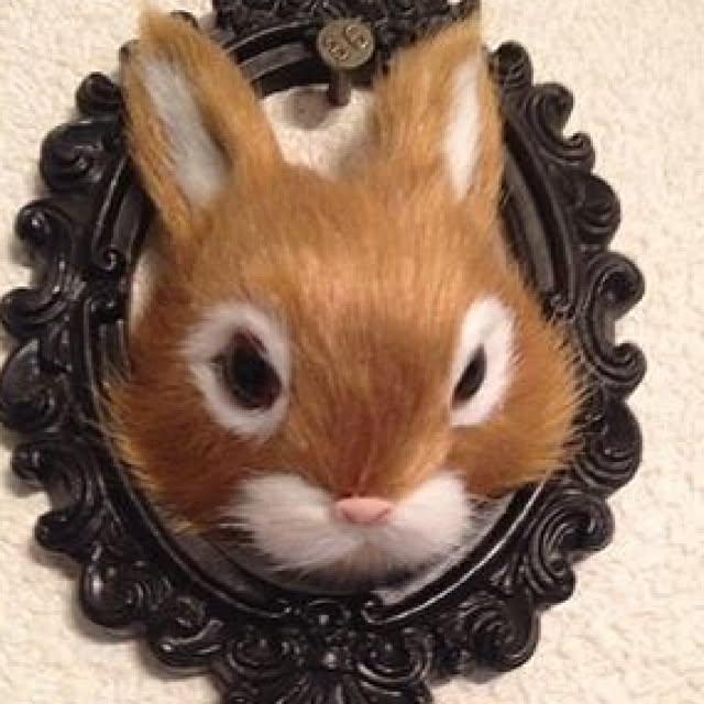 Kanakoさんの実例写真