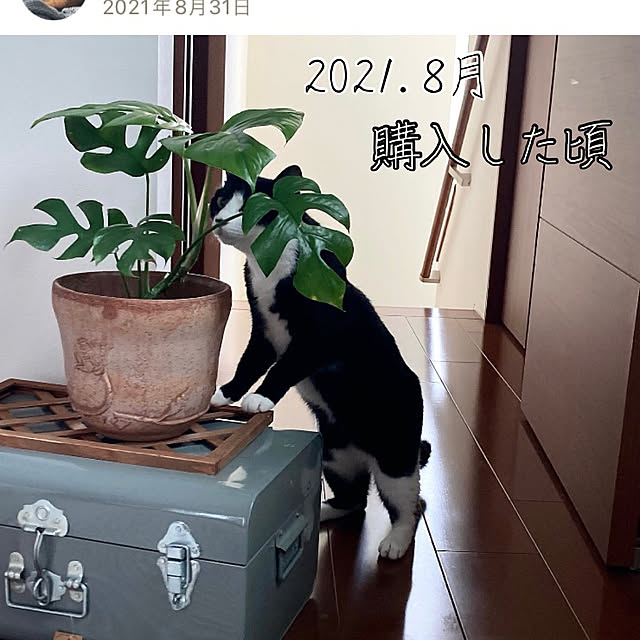 mako2yaさんの部屋