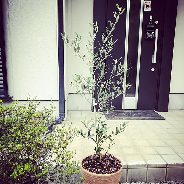 Caoluさんの実例写真