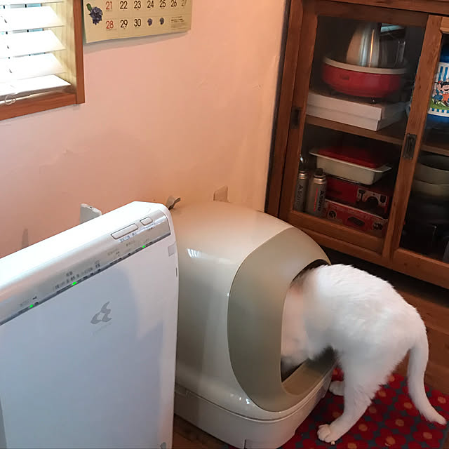 sakurasakuさんの実例写真