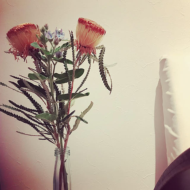 Izumiさんの実例写真
