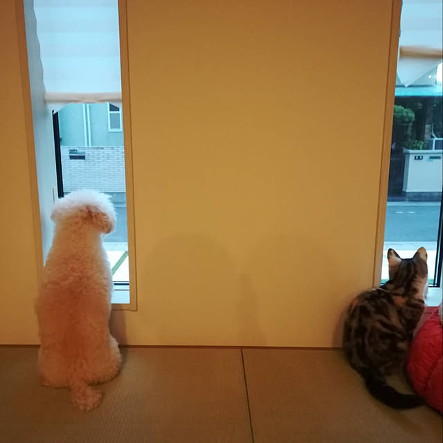 mikkumikuさんの実例写真