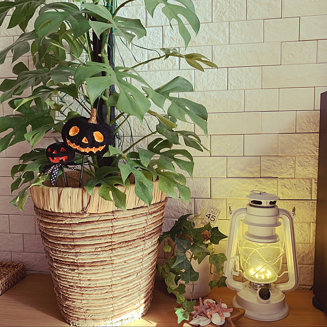 kiyomiさんの実例写真