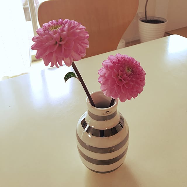 Michiyoさんの実例写真
