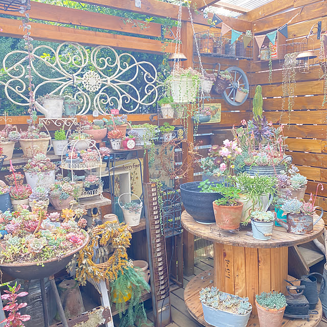 mintteaさんの実例写真