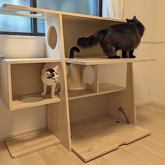 kumiさんの部屋