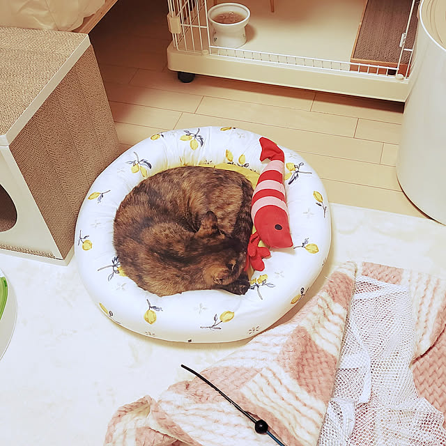 JIHYEさんの実例写真