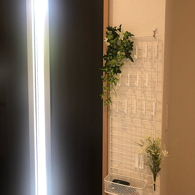 harukaさんの実例写真
