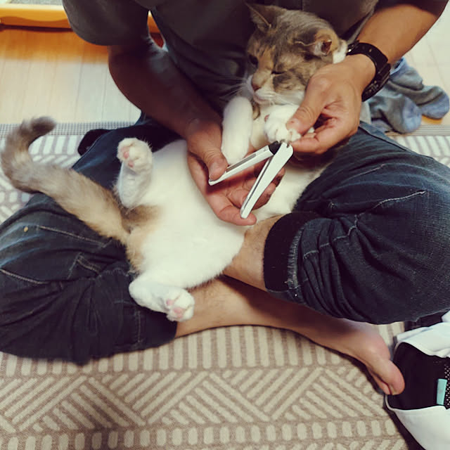 fukuさんの実例写真