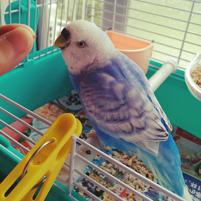 chicomaruさんの実例写真