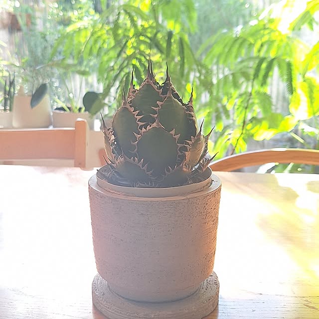 souさんの実例写真