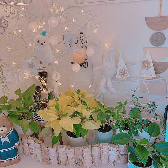 moonさんの部屋