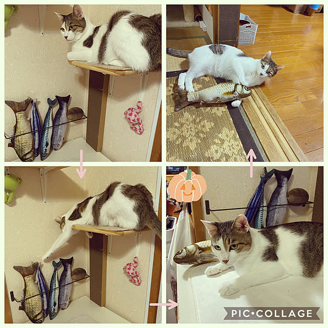 Lufuさんの実例写真
