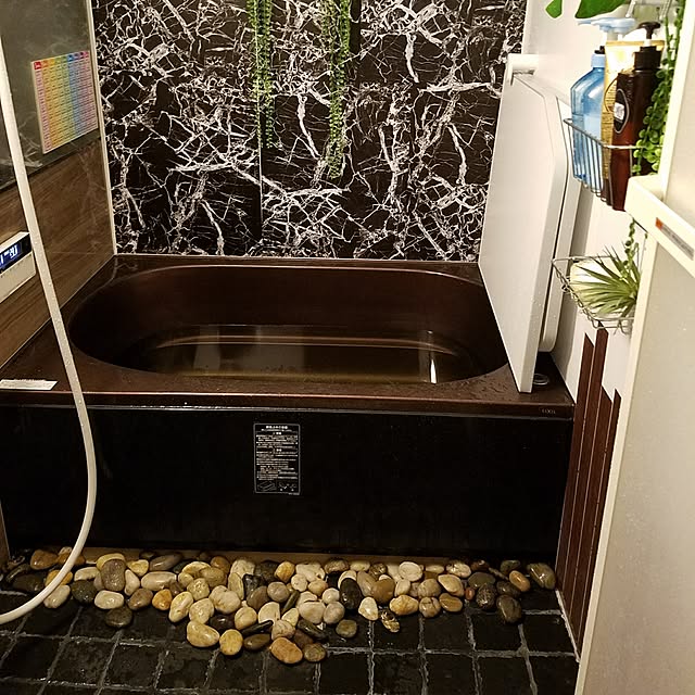 kochiouraneriさんの実例写真
