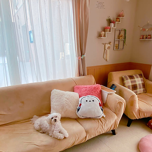 anzさんの実例写真