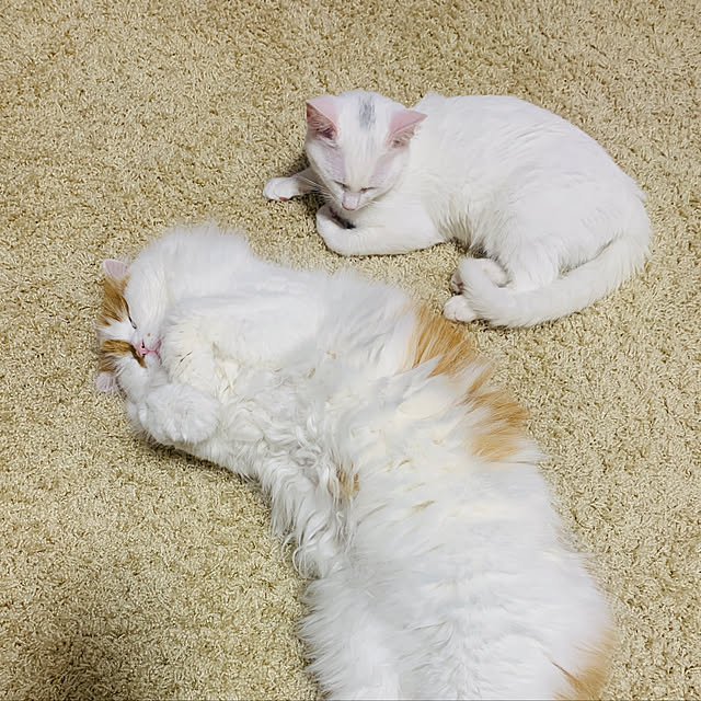 keiさんの実例写真