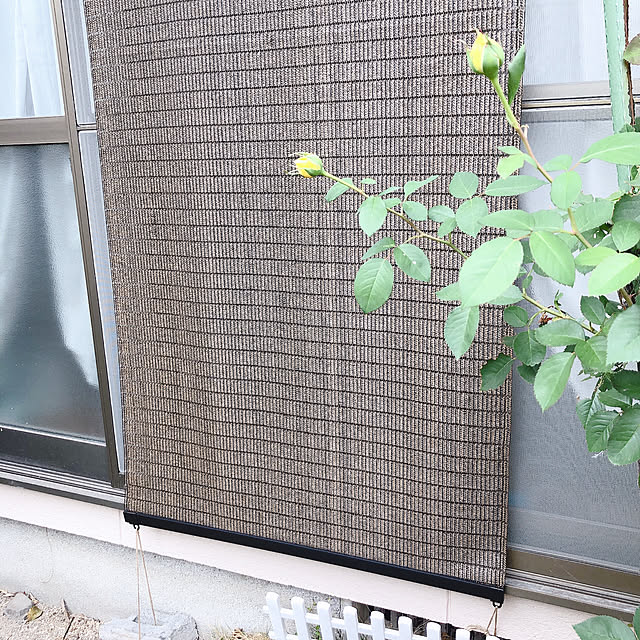 hama1219さんの実例写真