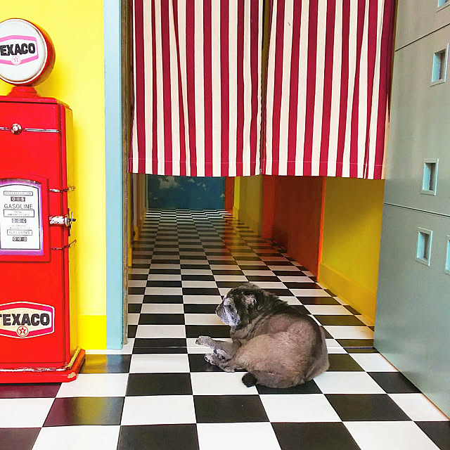 kuupugさんの実例写真