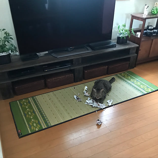 mikan161さんの実例写真