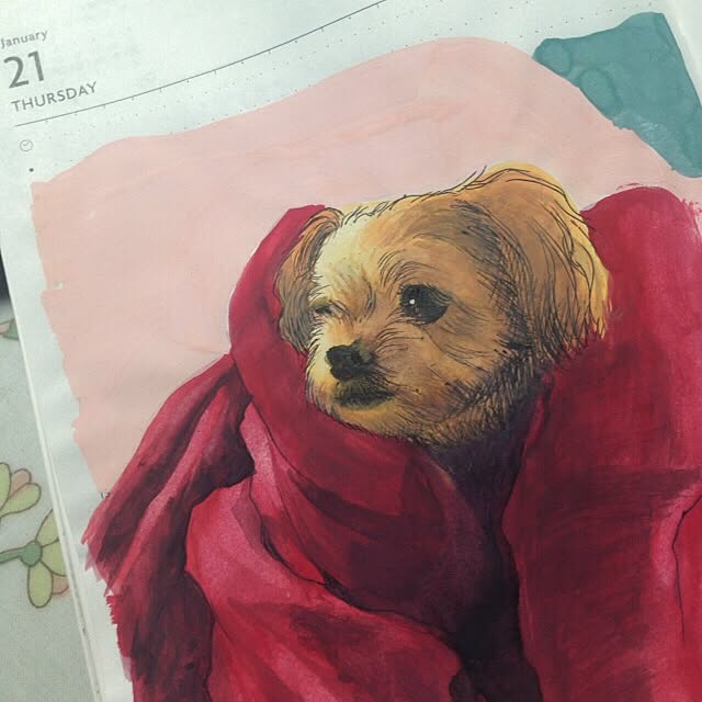 ECOさんの実例写真