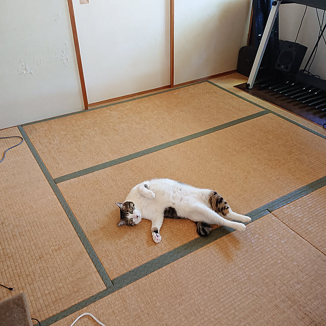 okyosan101さんの実例写真