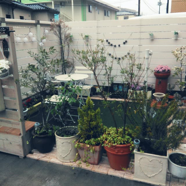 hirariさんの実例写真