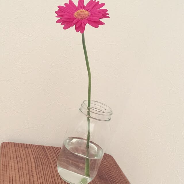 sanpukumachi.yさんの実例写真