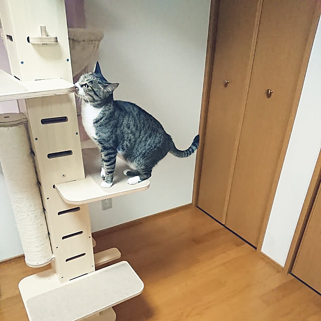 nachiさんの実例写真