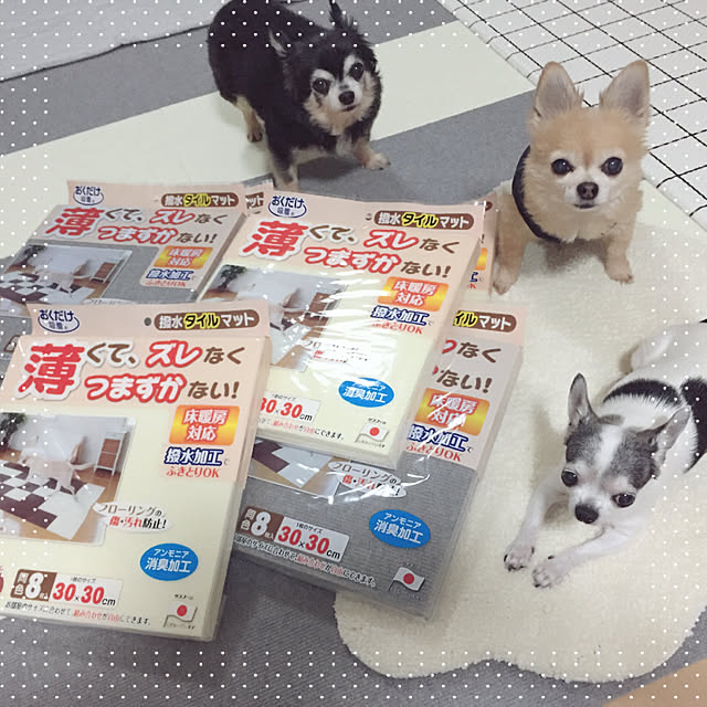 Emiさんの実例写真