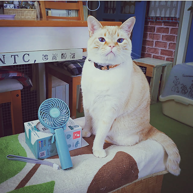 mntcさんの実例写真