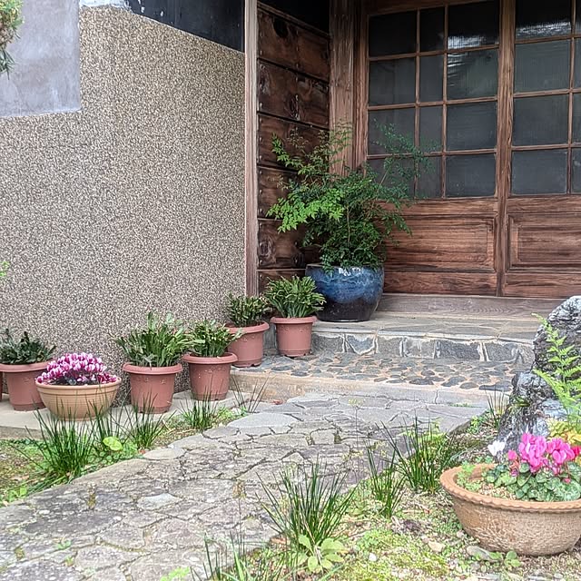 kuririnmamaさんの部屋