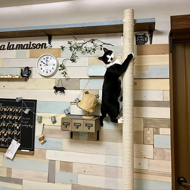 kazaneさんの実例写真
