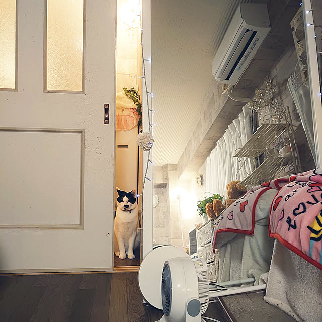 asuminさんの実例写真