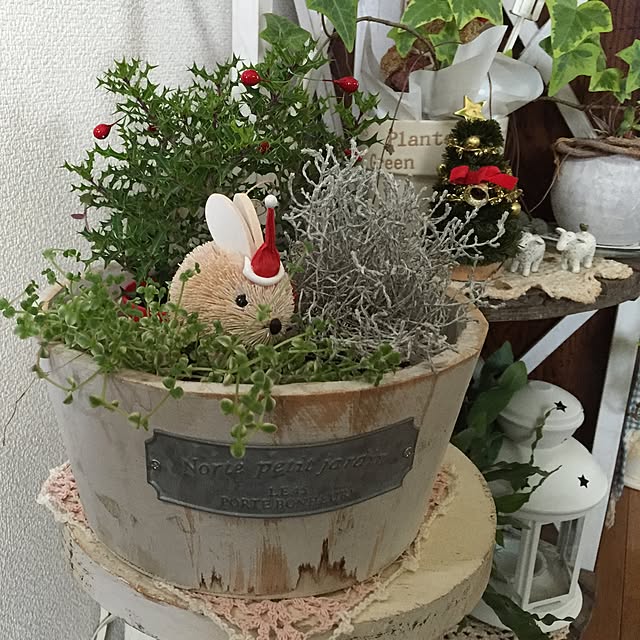 reoreomamaさんの実例写真