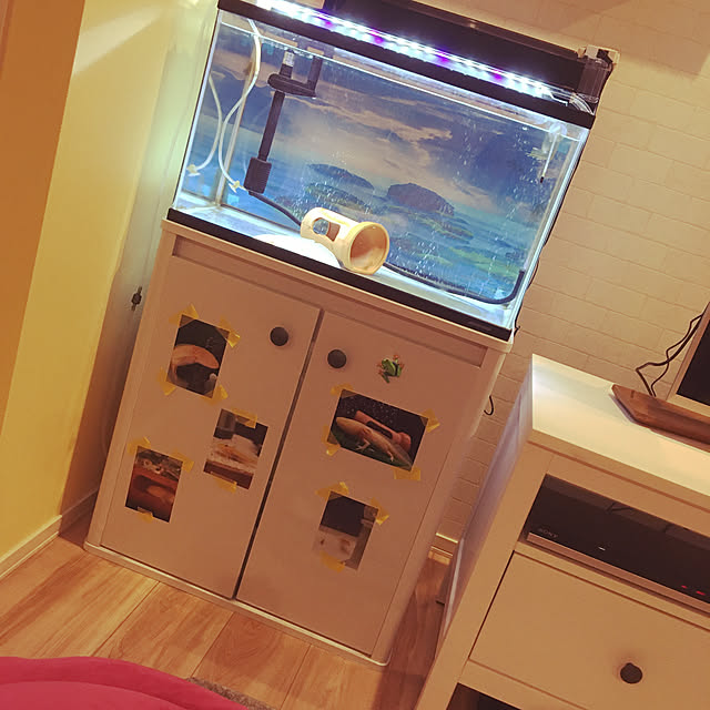 saiさんの実例写真
