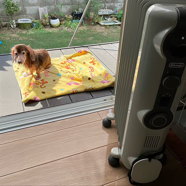 デロンギ オイルヒーター with Pet [RHJ11G0812-DG] | delonghi