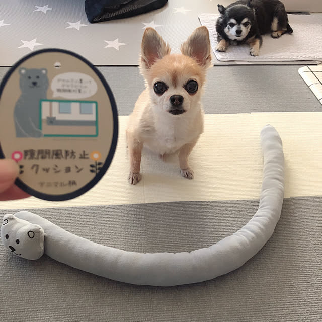 Emiさんの実例写真