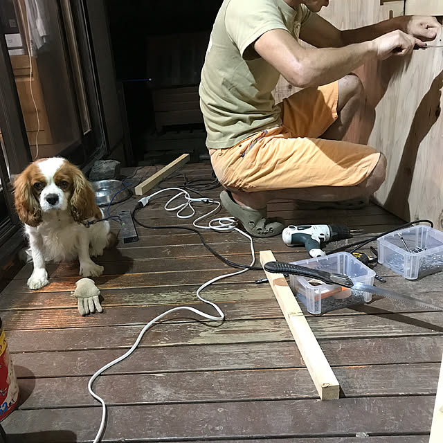 pepeさんの実例写真