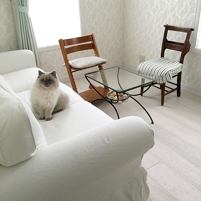 yuchiさんの実例写真