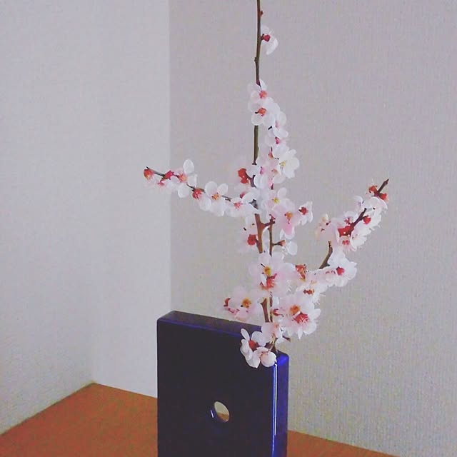 spn871さんの実例写真