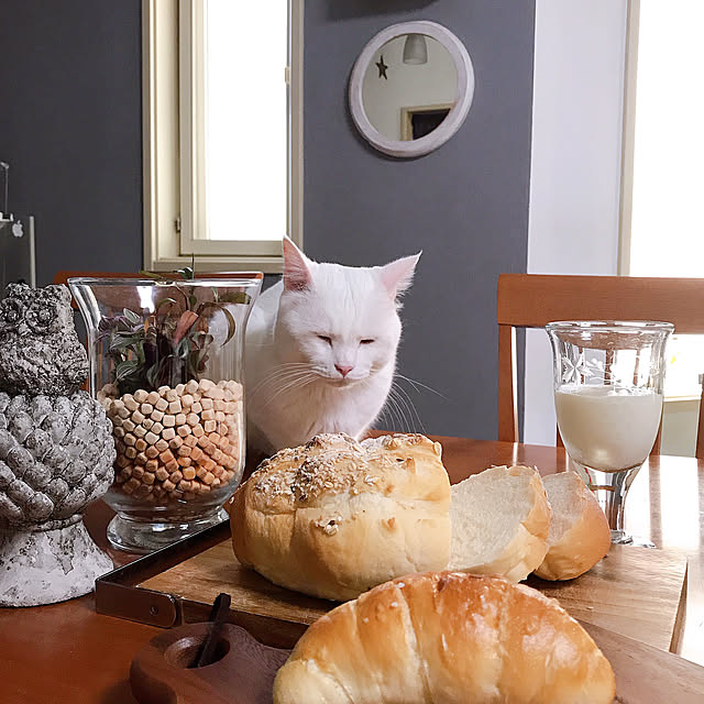 nyanko-beamさんの実例写真